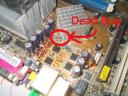 Computer Bug